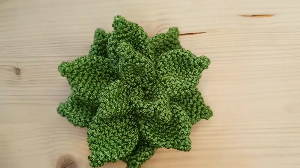 Crochet little succulent leaves for a real base