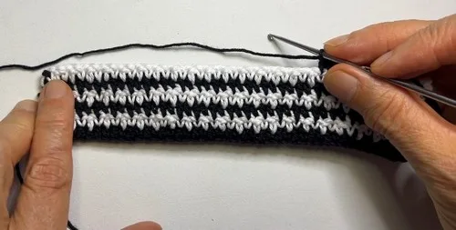 Two-Color Checkerboard Crochet Makeup Bag Pattern β photo 3
