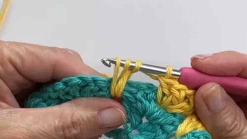 Cat stitch crochet pattern for a textured blanket — photo 4